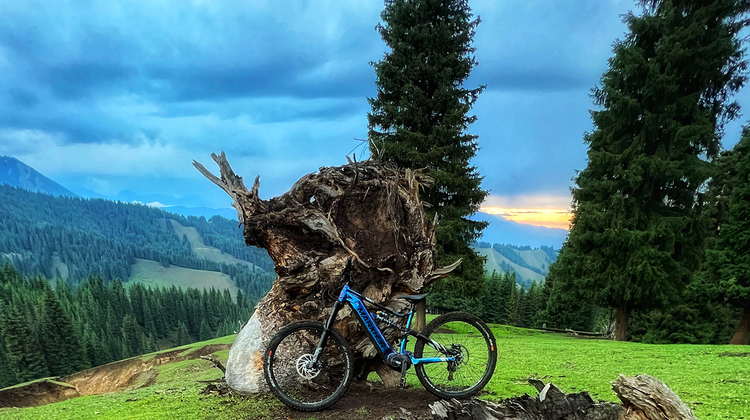 chinese emtb
